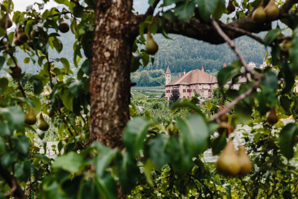 Felsenegg Hotel Налес Екстериор снимка